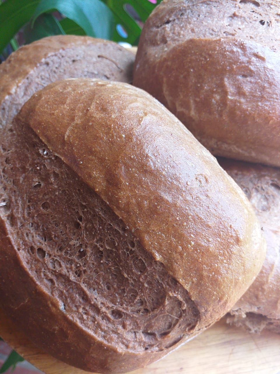 WhatsApp Image 2020-12-02 at 12.44.57 Pão 70% Integral 350g