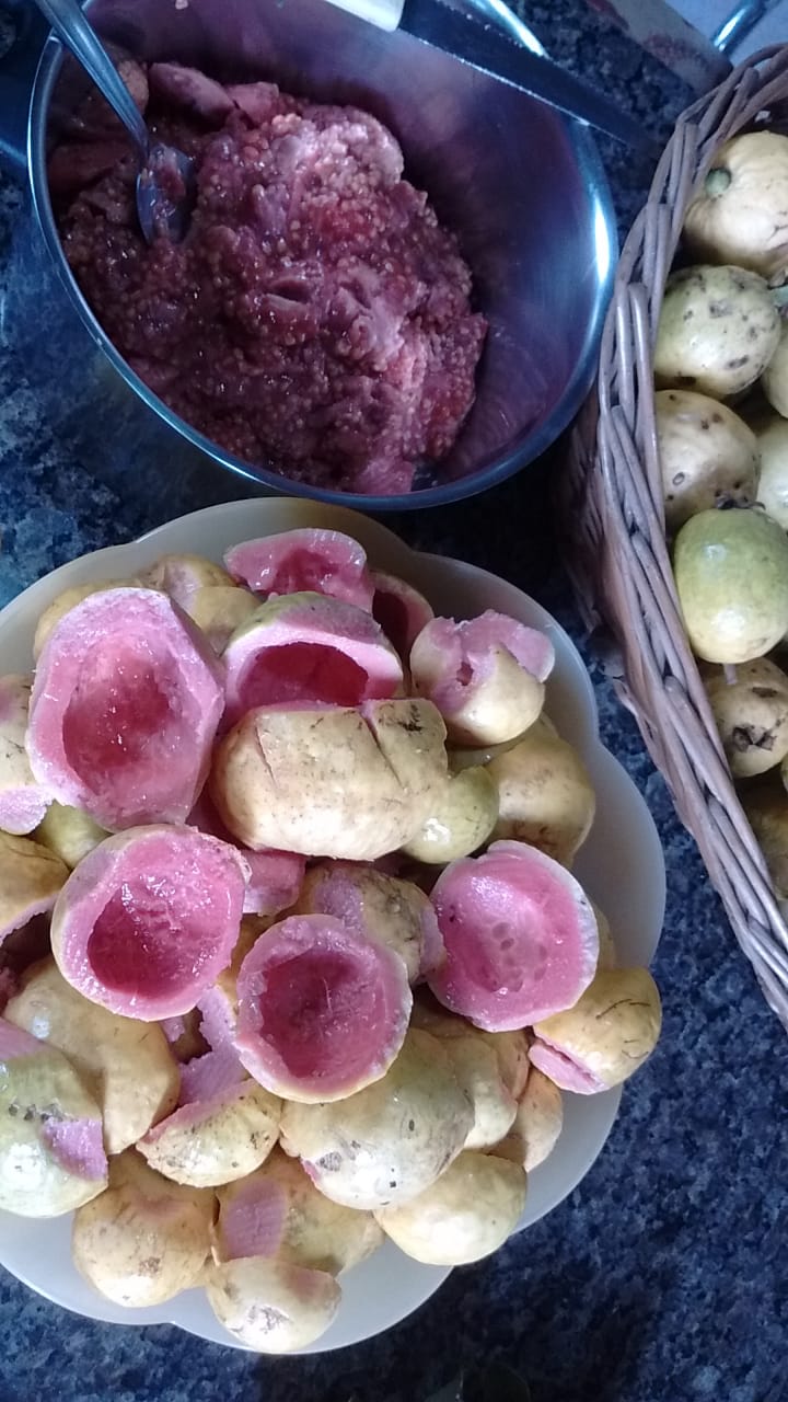 Goiabas congeladas 1kg