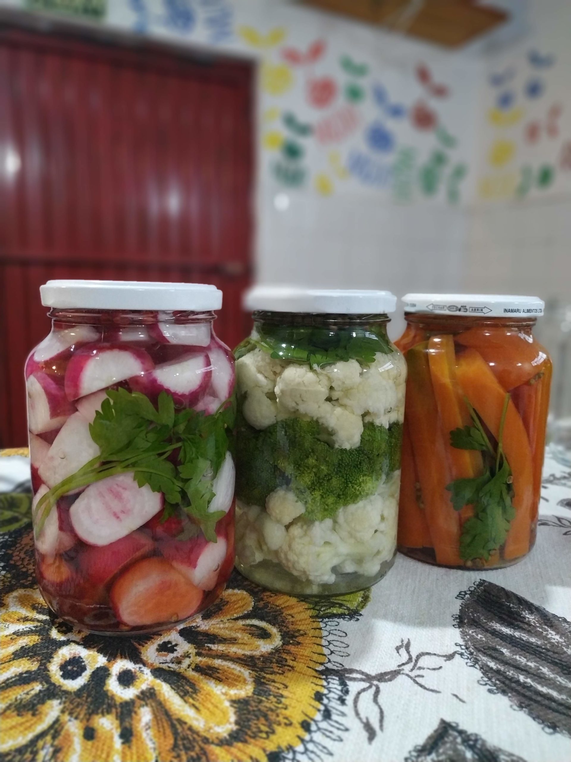 IMG_20200711_171412 Conserva de rabanete - 500g