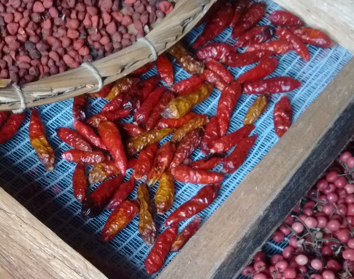 Pimenta malagueta seca