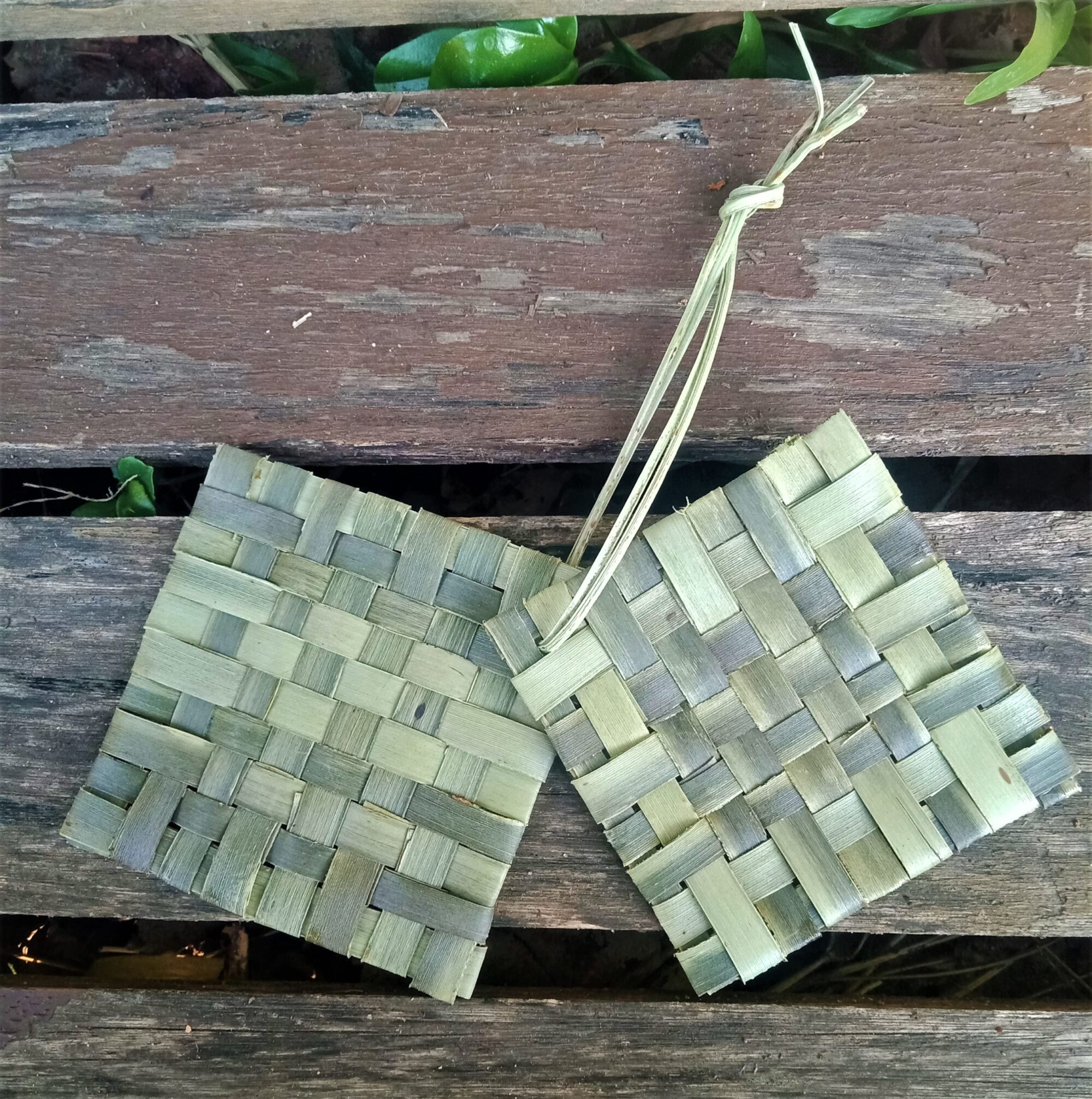 IMG20221003172838 but