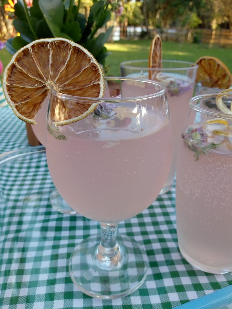 Laranja desidratada 22g