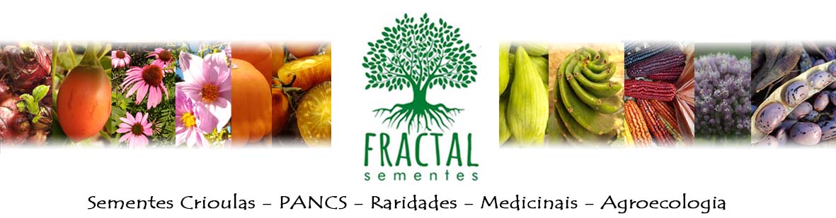 Fractal Sementes/São Chico