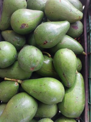 WhatsApp Image 2026-02-28 at 16.01.58 (1) Abacate - kilo