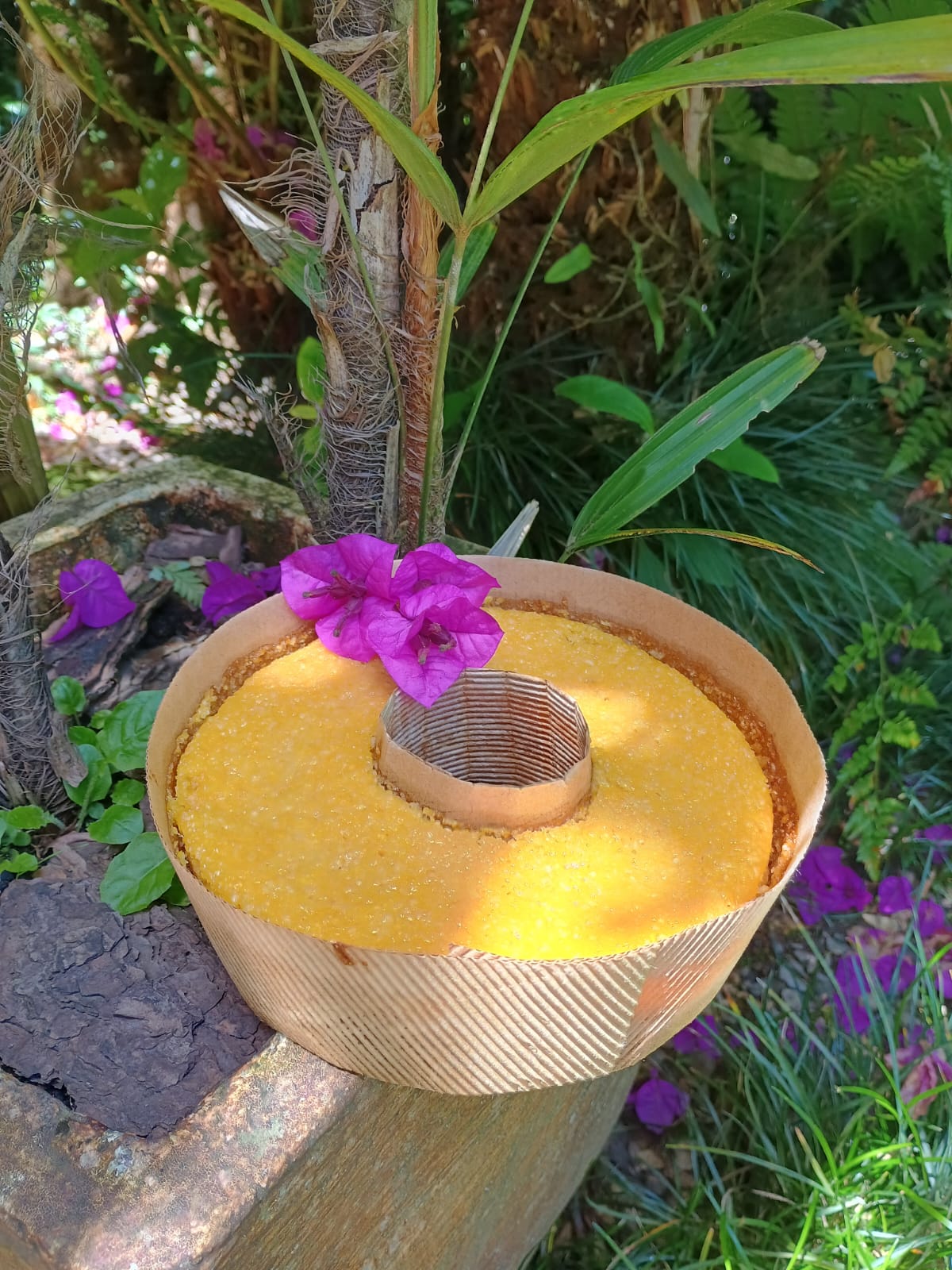 Bolo de Milho (sem glúten, sem leite e sem lactose)