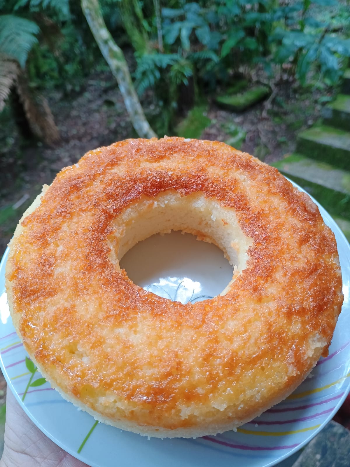 Bolo de Coco com parmesão (sem glúten)
