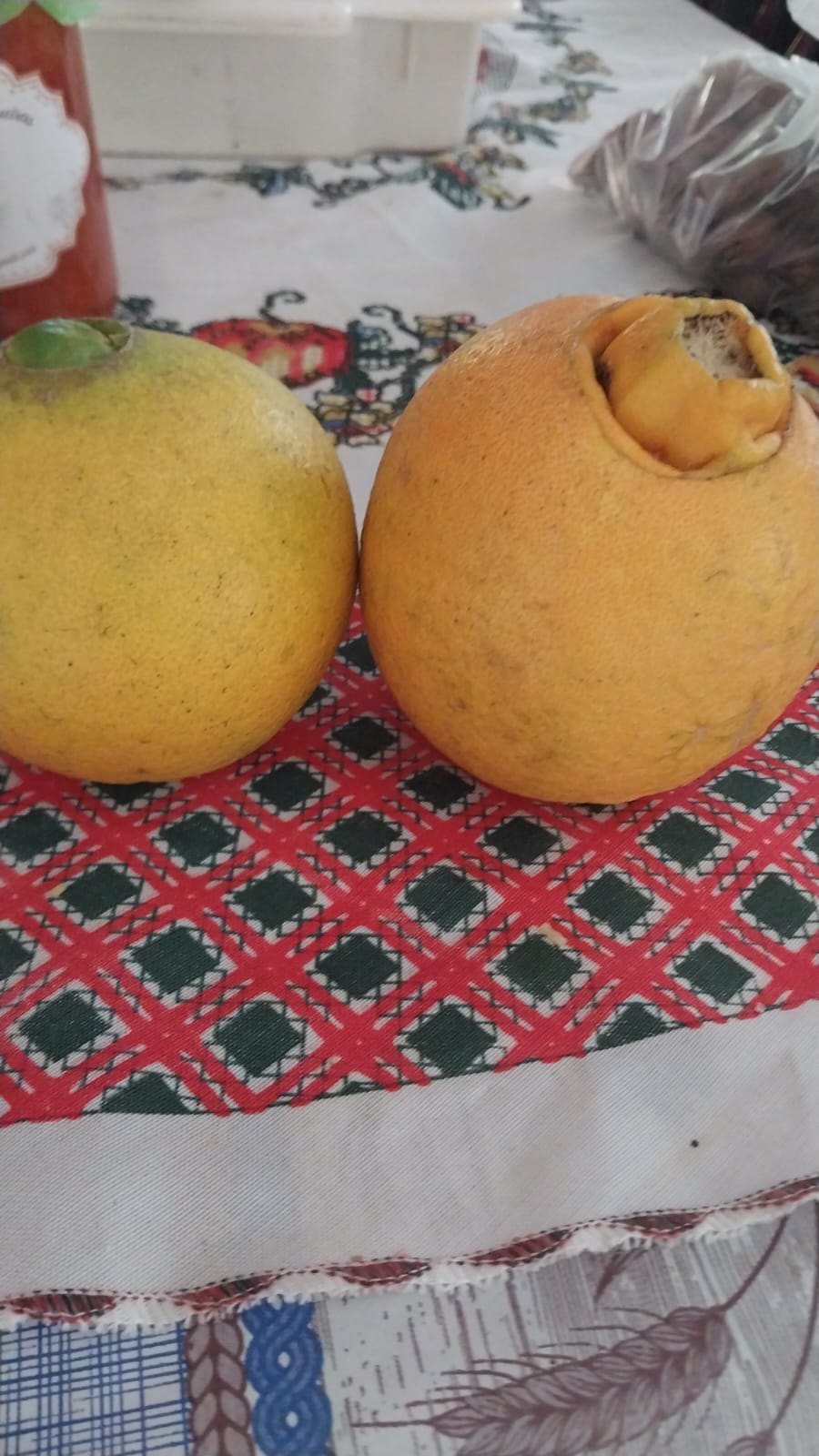 Laranja de umbigo - kg