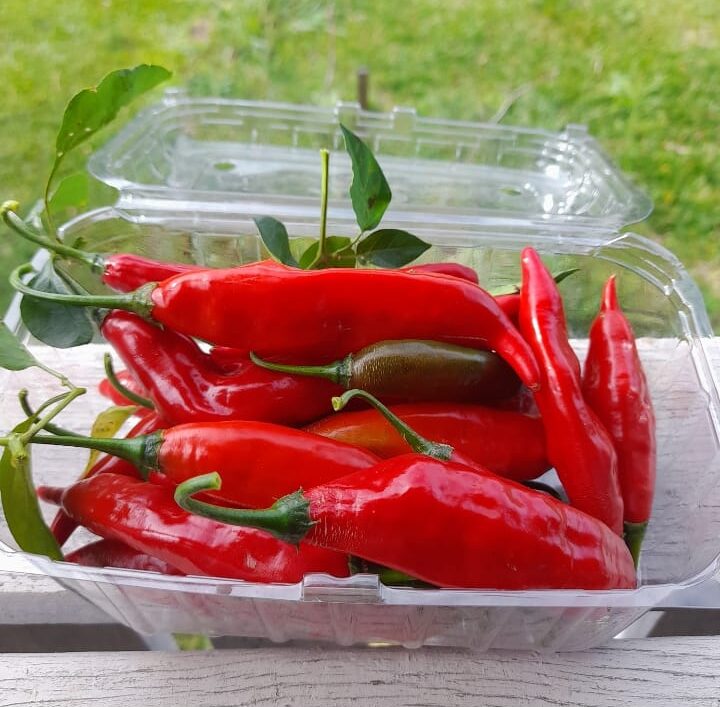 Pimenta Dedo de moça (bandeja 200g)