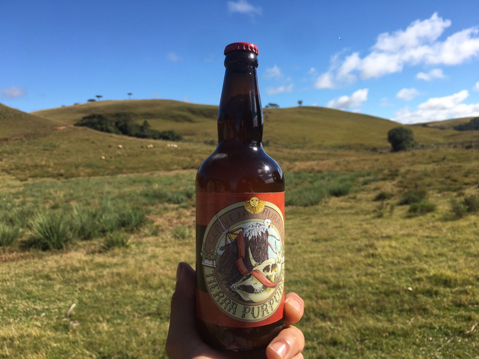 Cerveja Rural - Estilo Pale Ale com Pinhão - 500ml