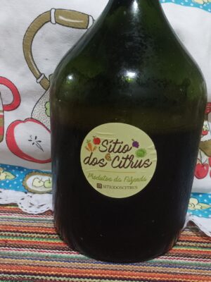 Suco integral de uva bordô  2 litros 🍇