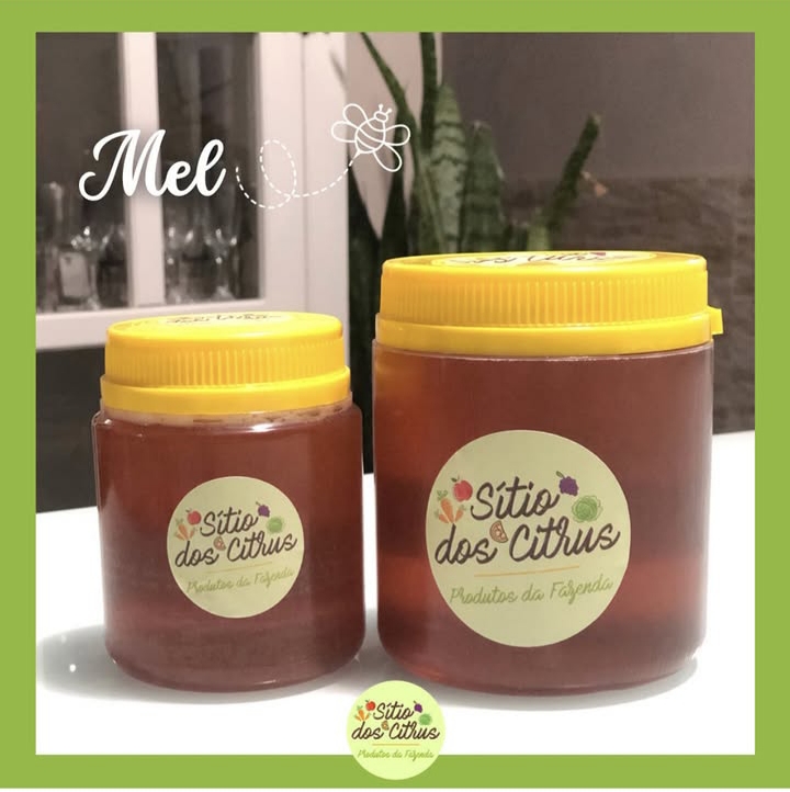 Mel puro 1kg 🍯