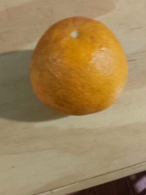 WhatsApp Image 2025-07-29 at 17.05.41 Laranja de suco - kg