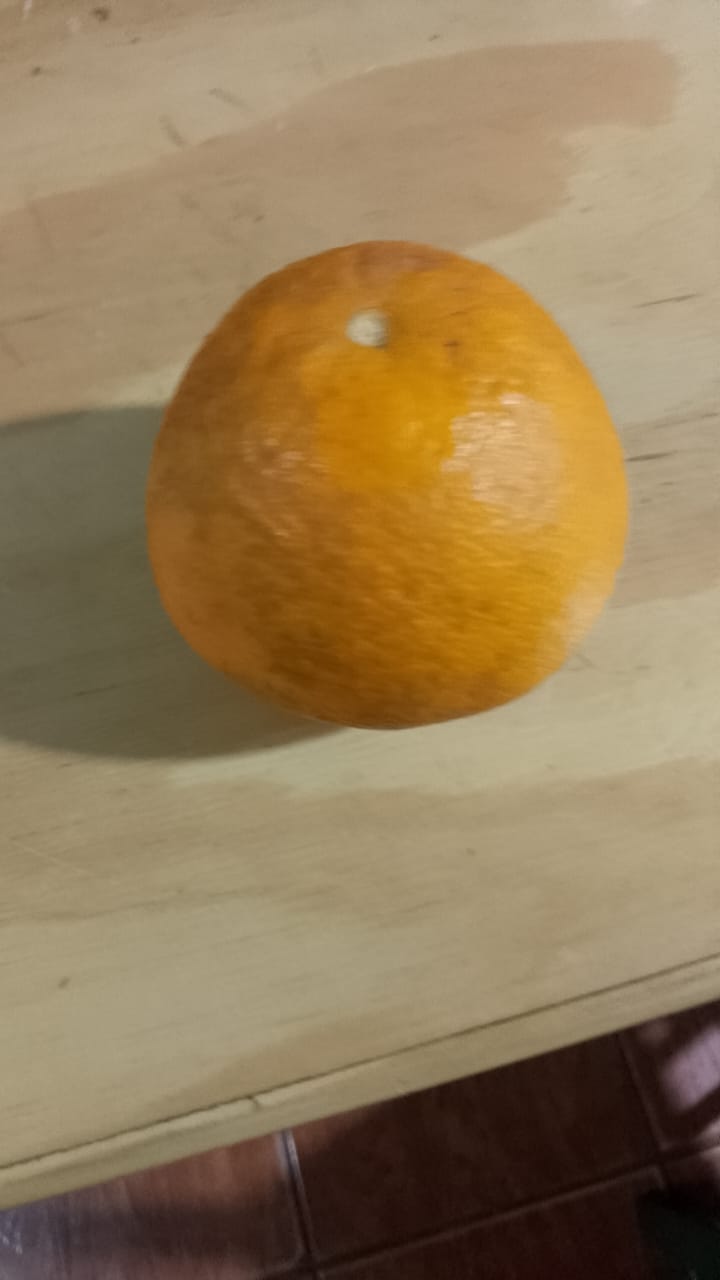 Laranja de suco - kg