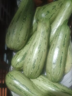 Abobrinha italiana agroecológica - kg