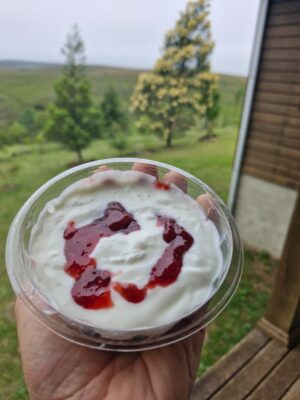 Iogurte de Leite de ovelha (com morango) - 140g