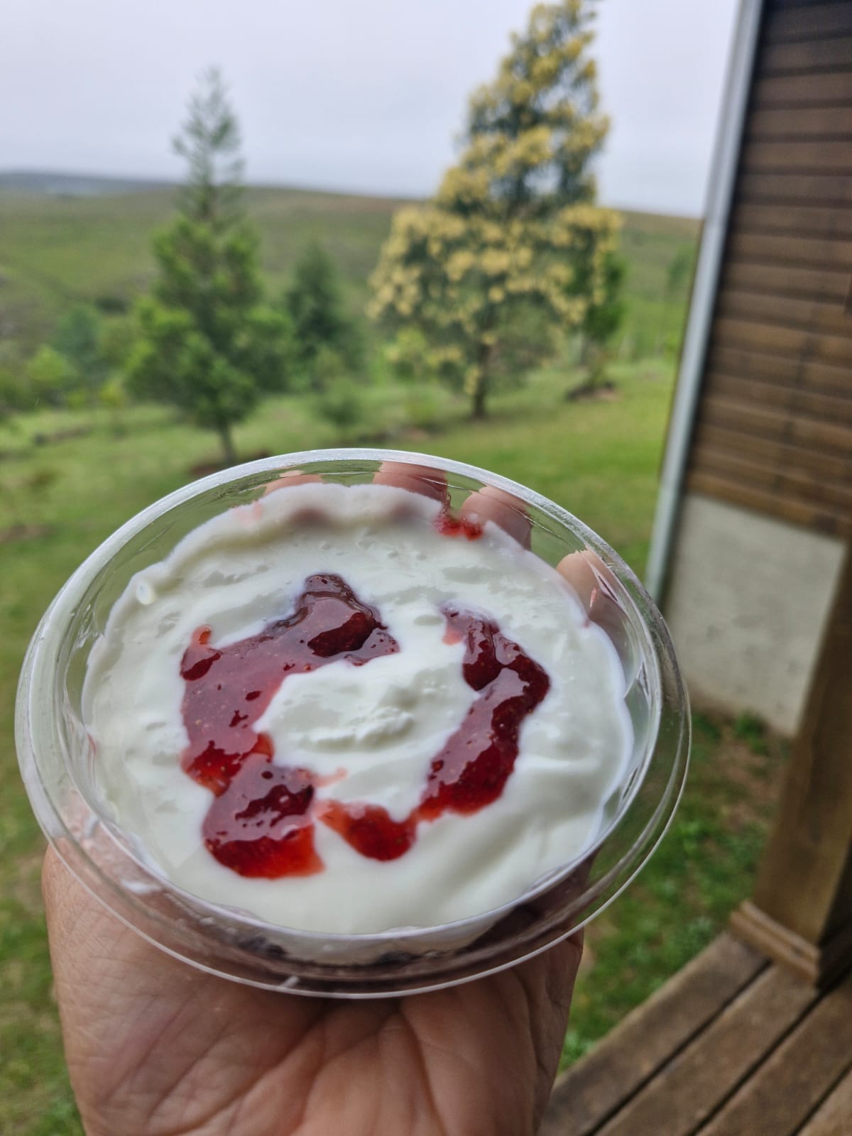 Iogurte de Leite de ovelha (com morango) - 140g