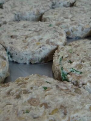 Hamburguer de Lentilha (6 unidades)