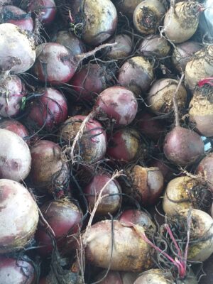 Beterraba saco de 1kg