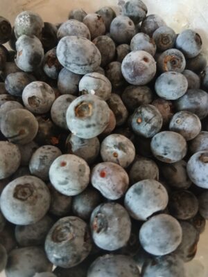 WhatsApp Image 2026-01-27 at 16.07.55 Mirtilos agroecológicos CONGELADOS - 600g