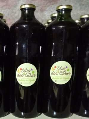 Suco de uva bordô agroecológico 1,5 lit🍇