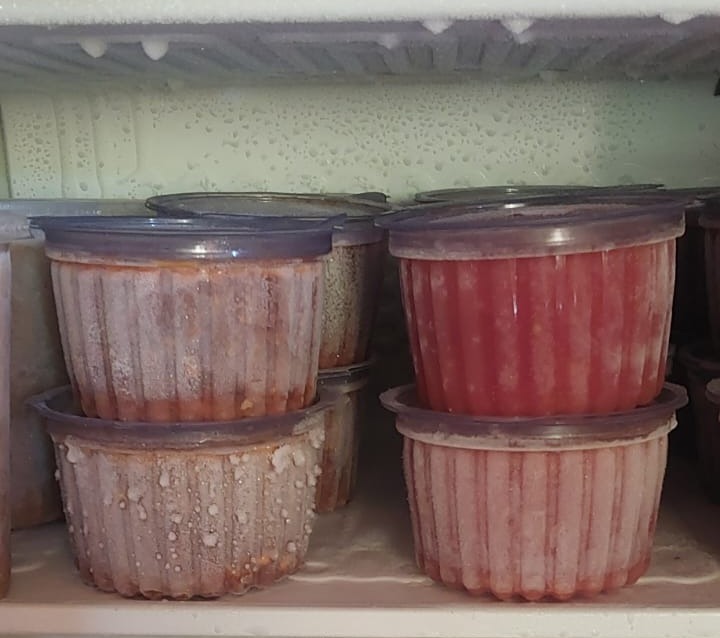 Molho de tomate - 400g - congelado