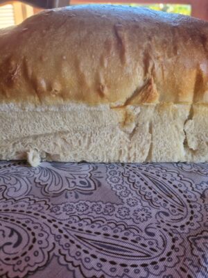 Pão Sanduíche de Fermentação Natural - 900g a 1kg