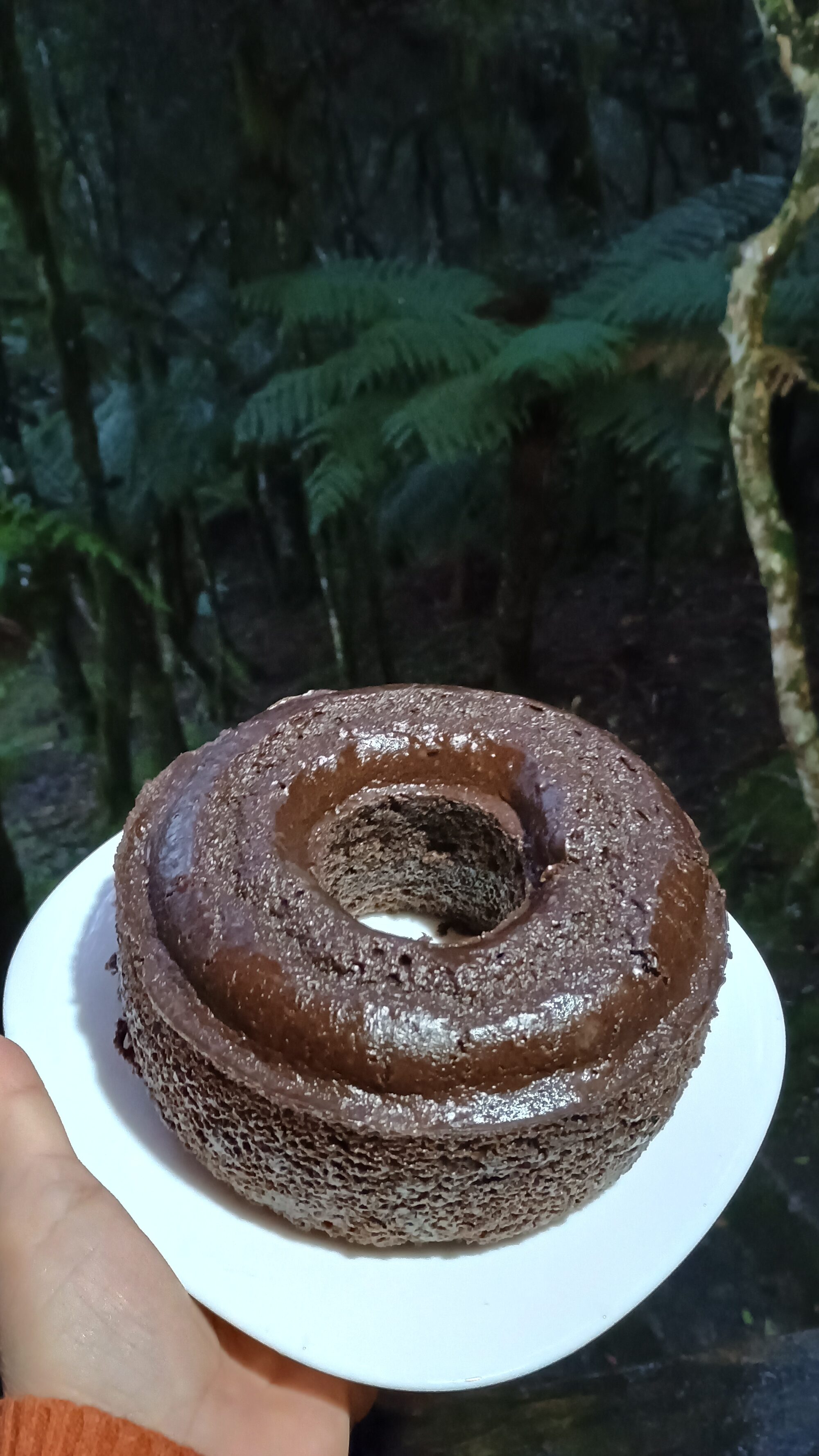 Bolo de Cacau com banana e Castanha do Brasil ( sem glúten e sem leite e lactose) 350g