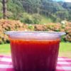 Molho de tomate e manjericão sem alho - congelado