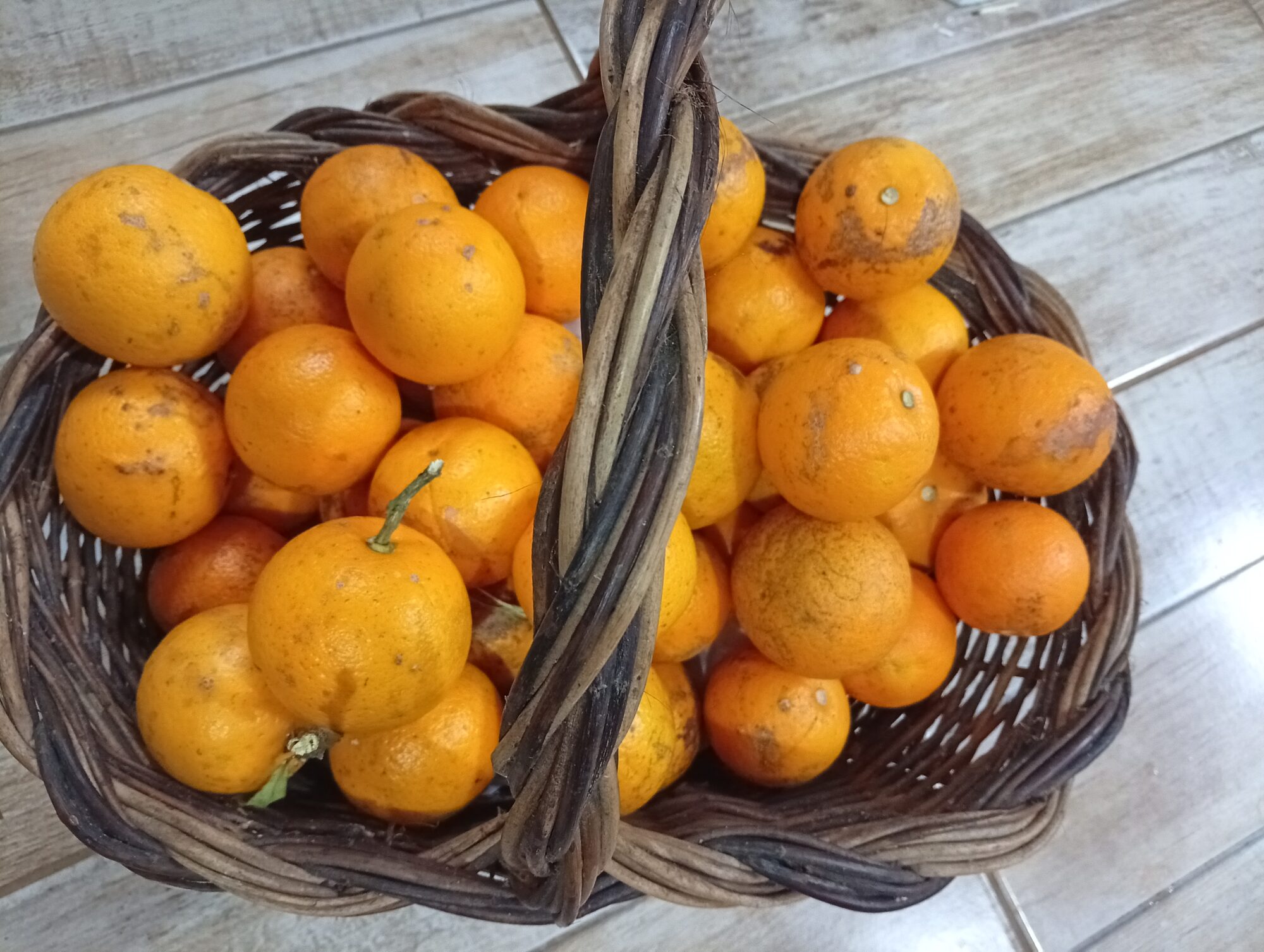 Bergamota comum agroecológica kg
