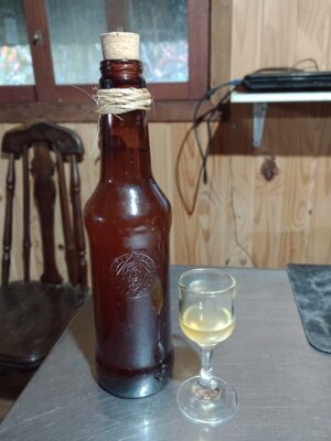 Licor de Gengibre