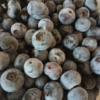 Mirtilos  600g.