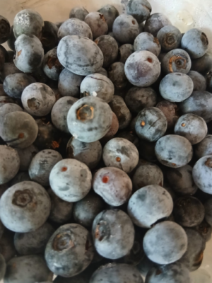 Mirtilos  600g.