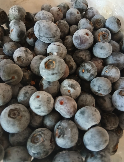 Mirtilos  600g.