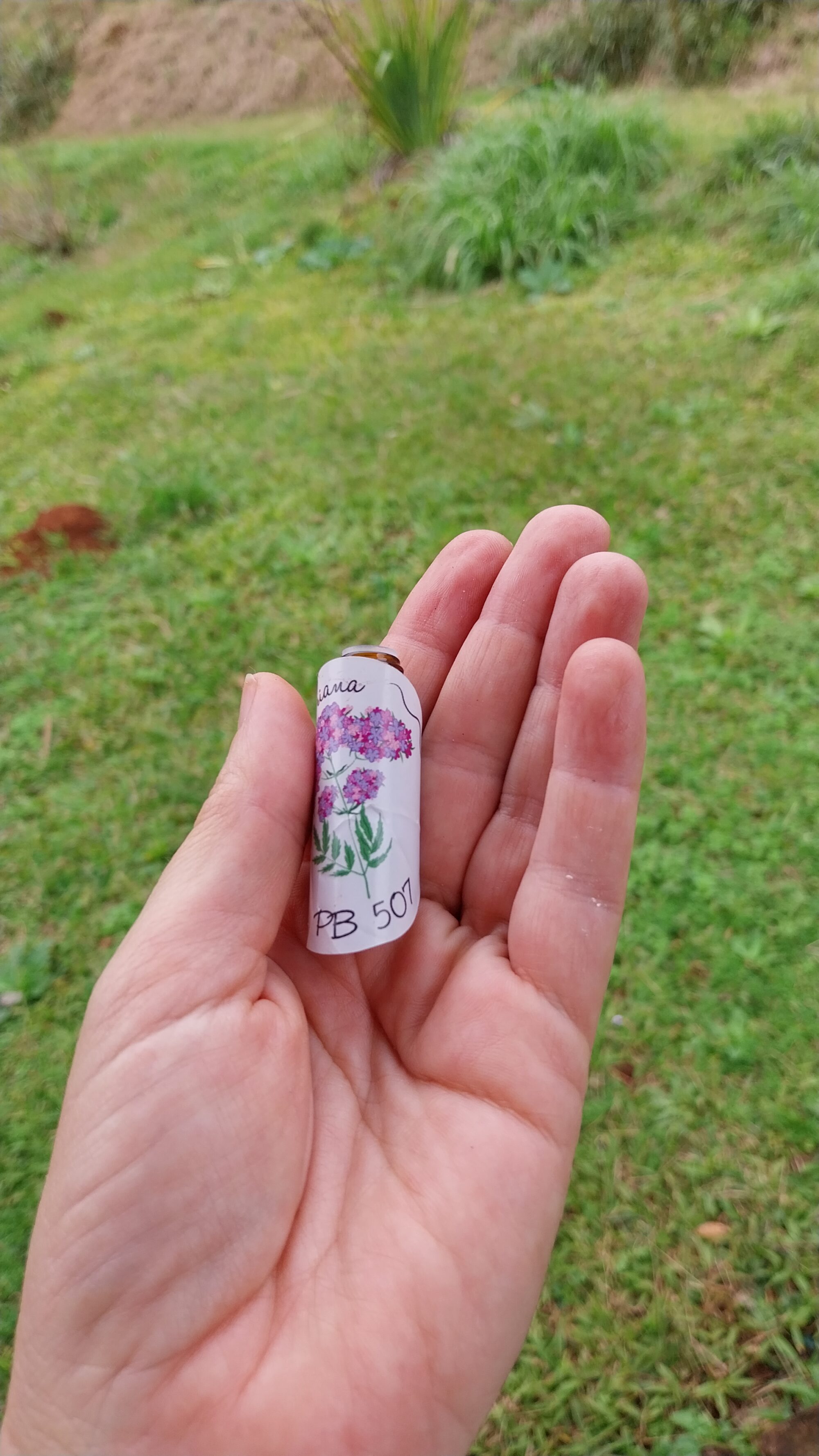 Preparado Biodinâmico 507 Valeriana - 2ml