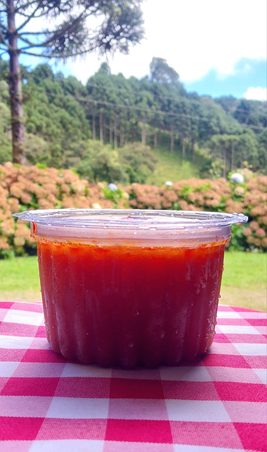 Molho de tomate e manjericão sem alho - congelado