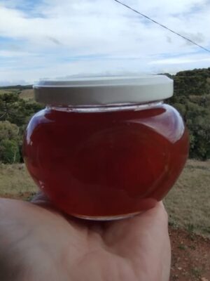Geleia de limão siciliano agroecológico - 260g - vidro